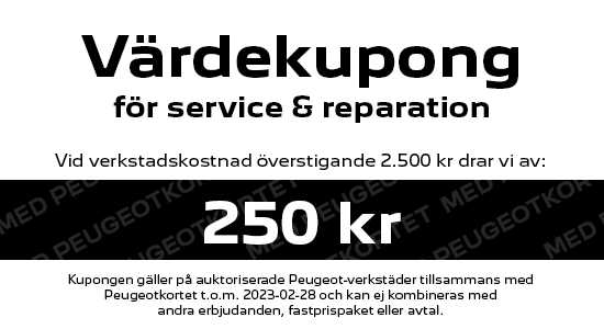 Webkuponger 250kr